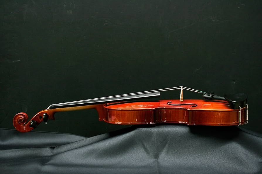 Amazon.co.jp: STENTOR (ステンター) バイオリンセット SV-320 4